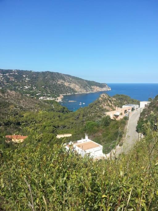 Villa Casa Torre Cruilles Big, Stylish, Modernized 'Castle' Prime Costa Brava With Ac Exterior foto